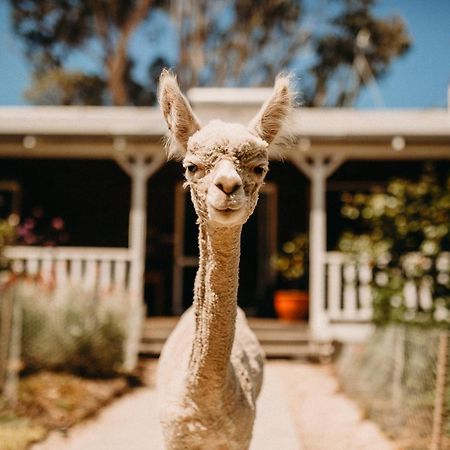 Margaret River Holiday Cottages المظهر الخارجي الصورة