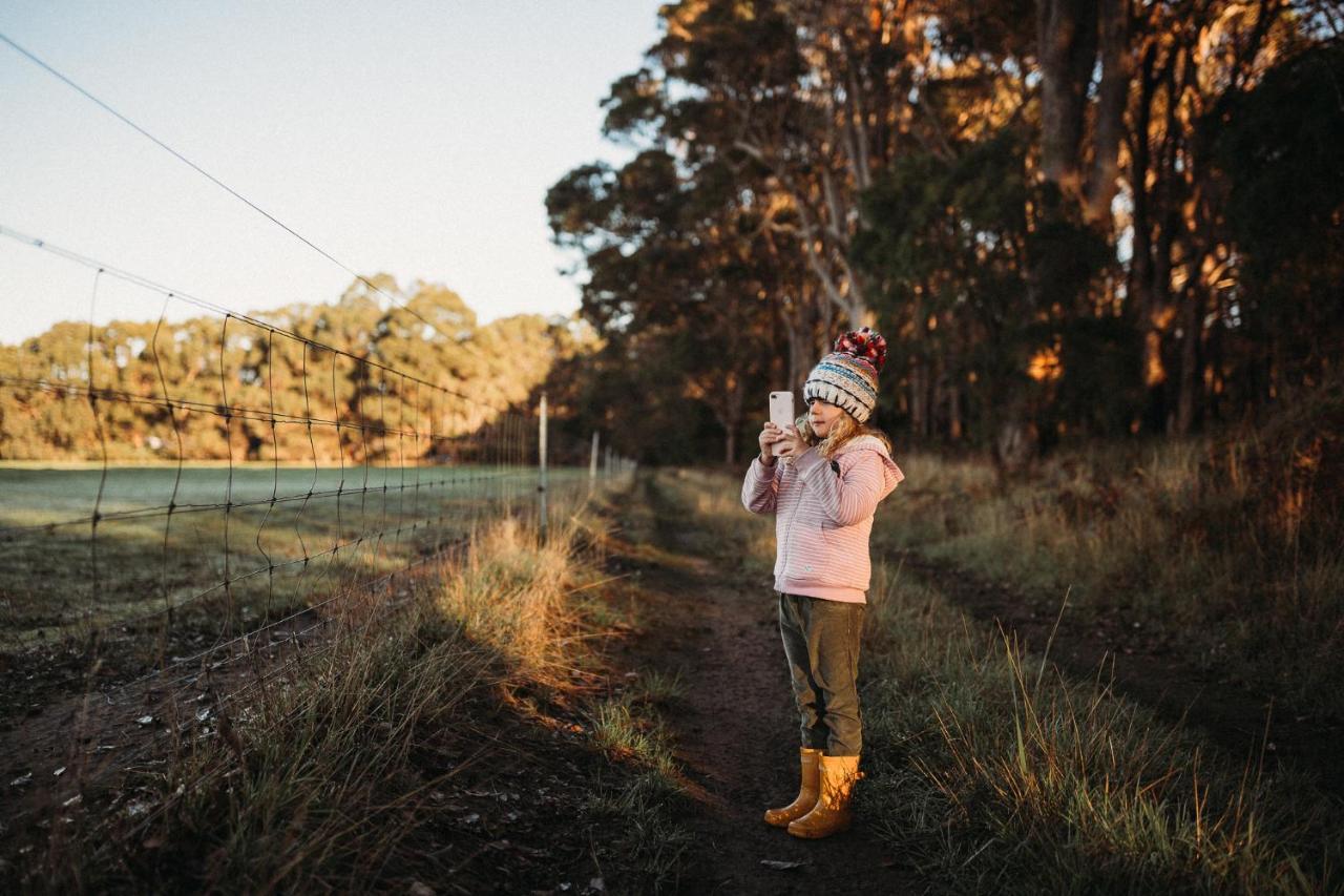 Margaret River Holiday Cottages المظهر الخارجي الصورة