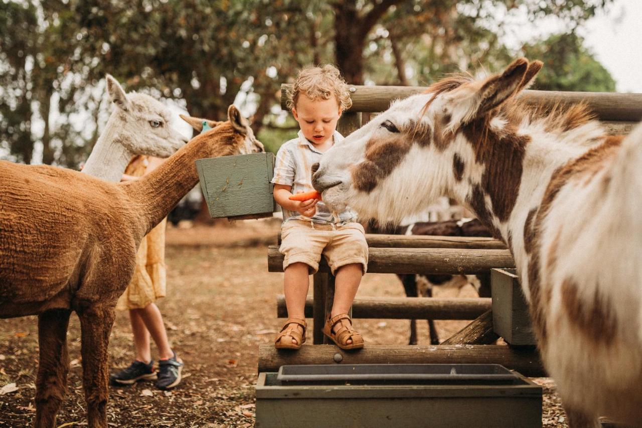 Margaret River Holiday Cottages المظهر الخارجي الصورة