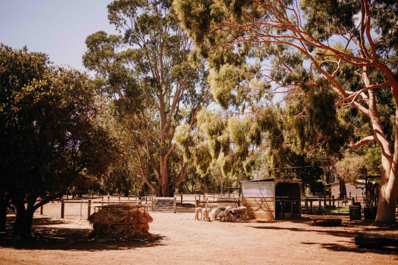Margaret River Holiday Cottages المظهر الخارجي الصورة