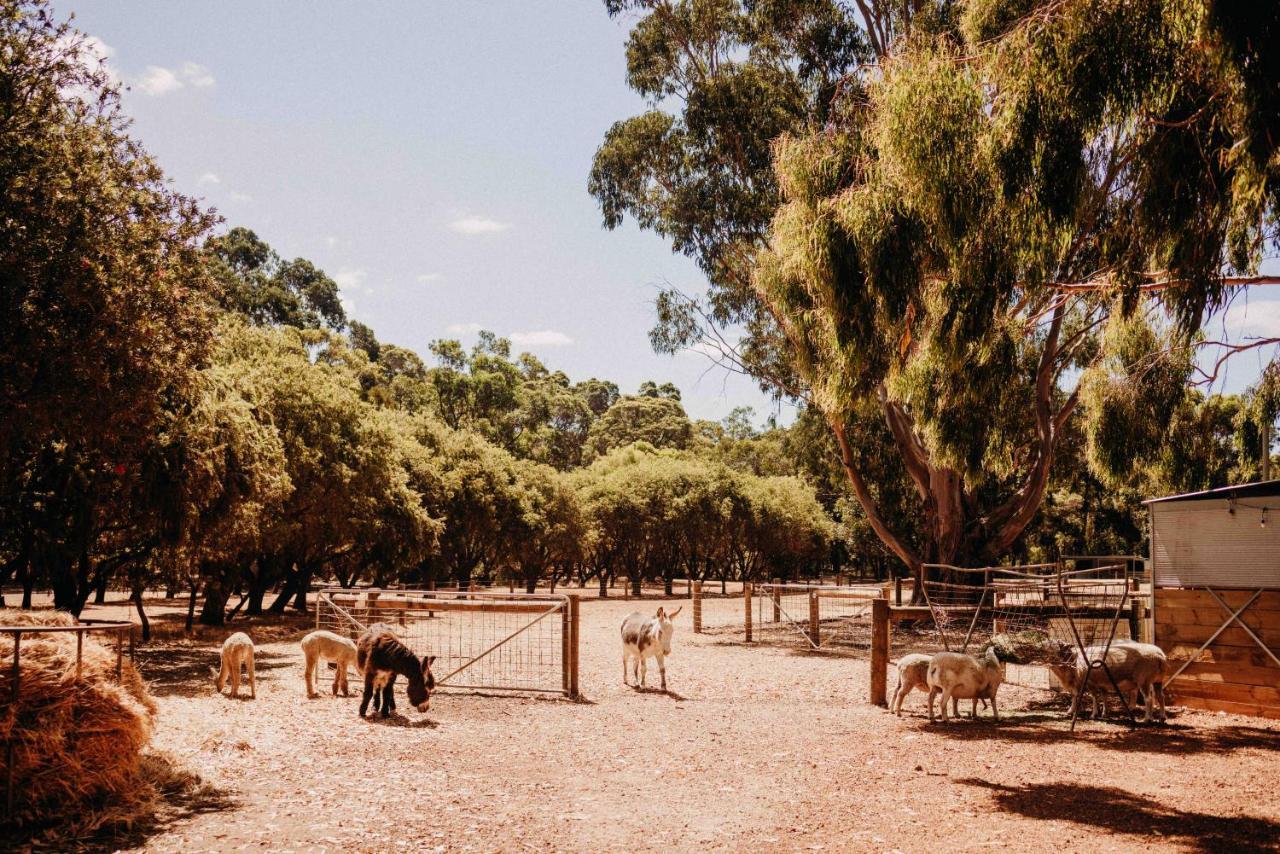 Margaret River Holiday Cottages المظهر الخارجي الصورة