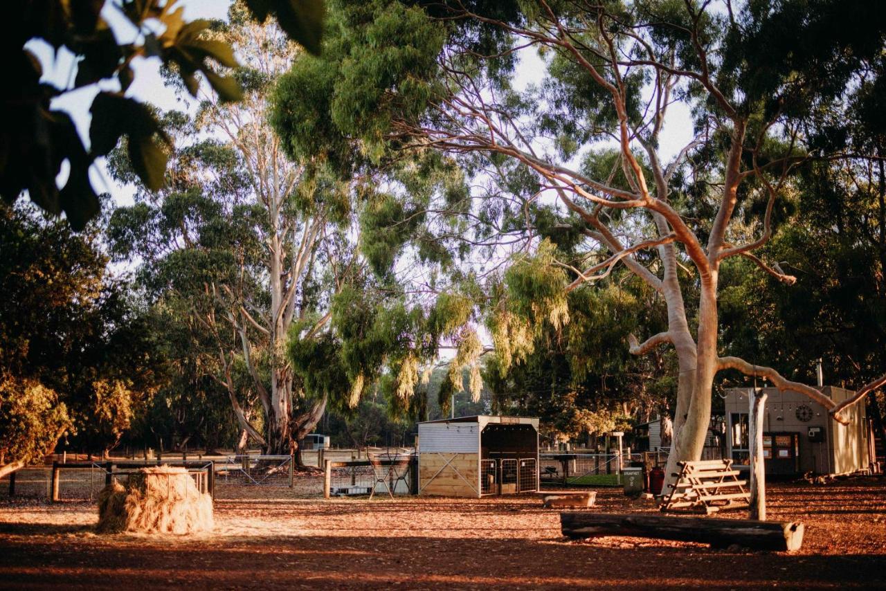 Margaret River Holiday Cottages المظهر الخارجي الصورة