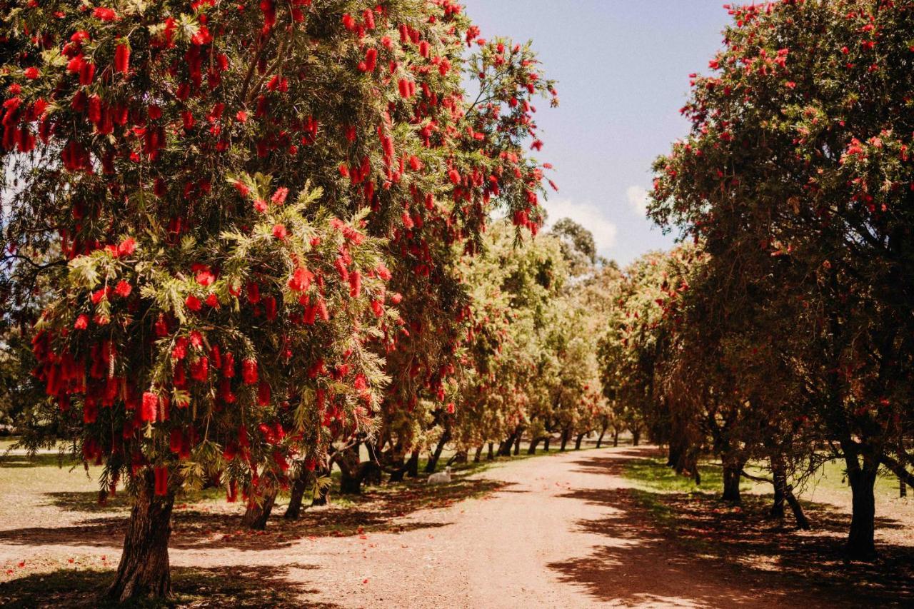 Margaret River Holiday Cottages المظهر الخارجي الصورة